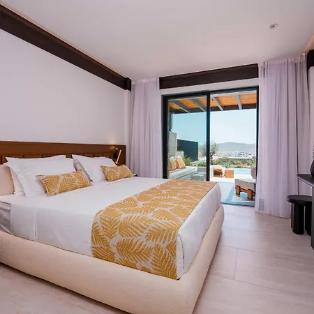 度假村 Noir Mykonos *